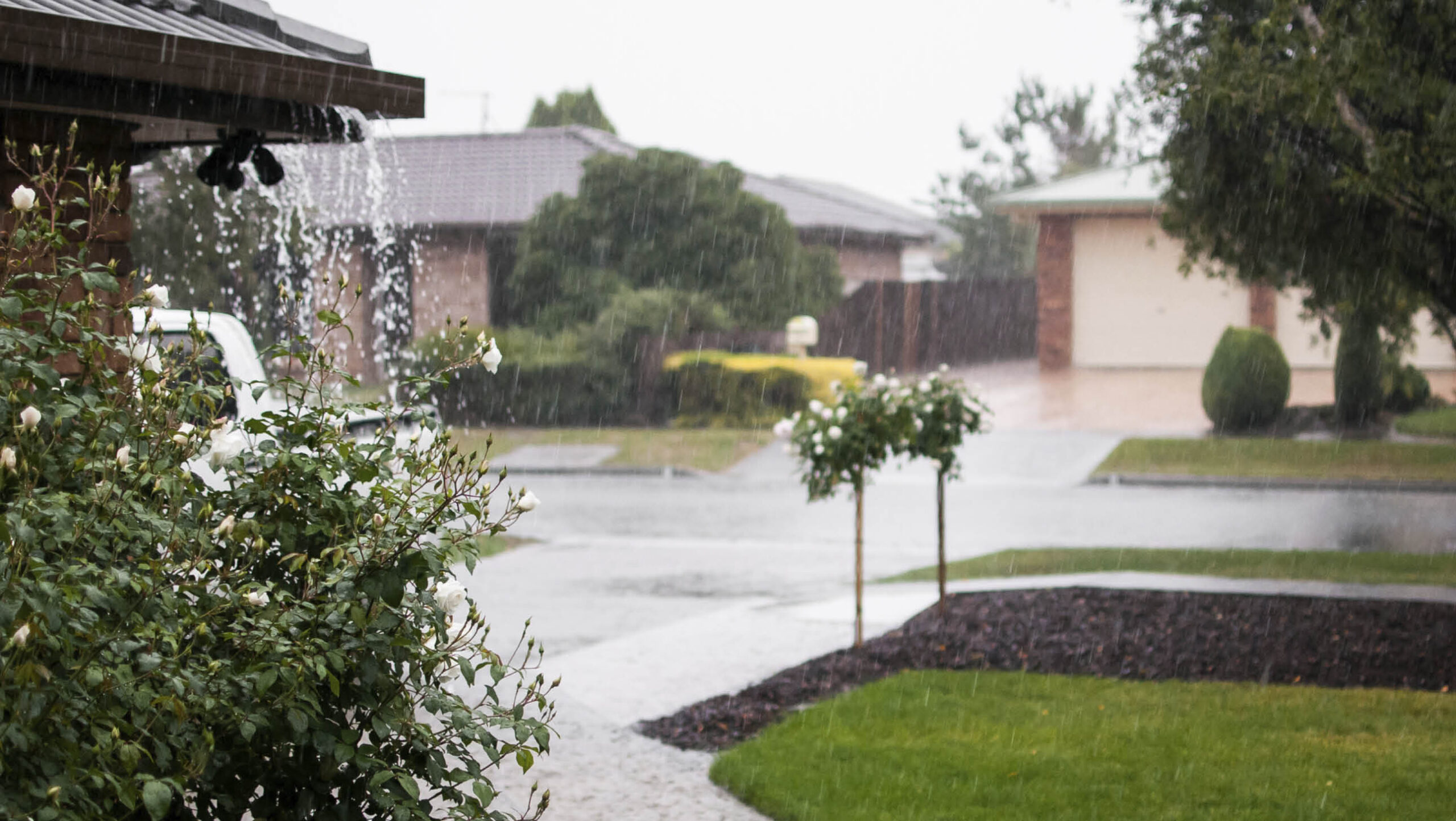 Ensure run off from gutters flows into garden beds or water tanks.